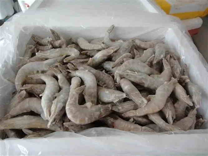 泰国冻虾进口清关.jpg
